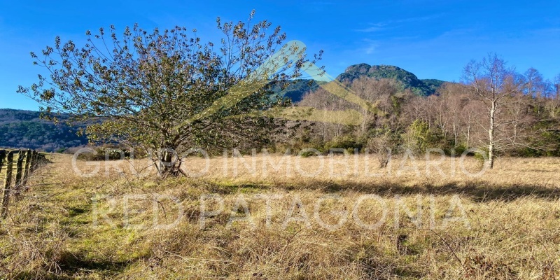 Araucanía, ,Terrenos,Venta,1432