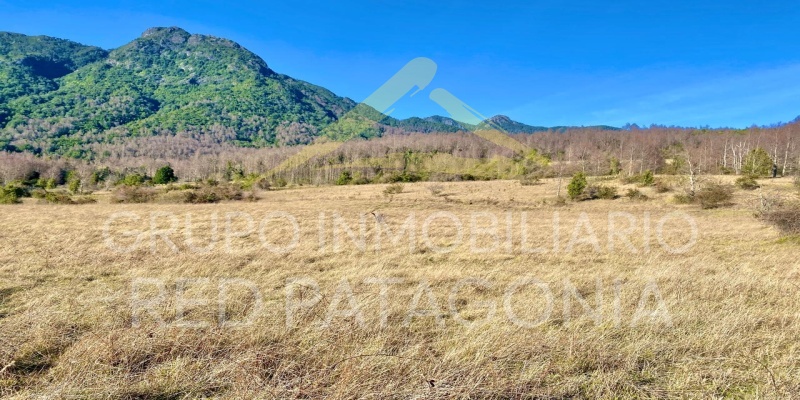 Araucanía, ,Terrenos,Venta,1432