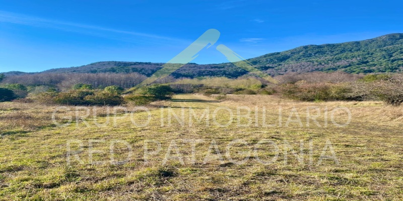 Araucanía, ,Terrenos,Venta,1432