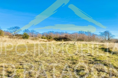 Araucanía, ,Terrenos,Venta,1432