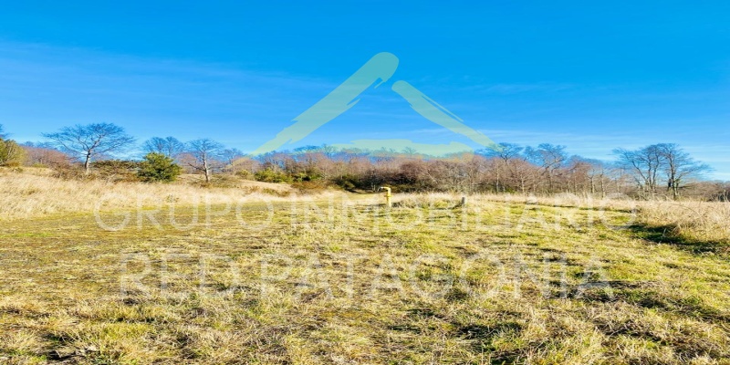 Araucanía, ,Terrenos,Venta,1432