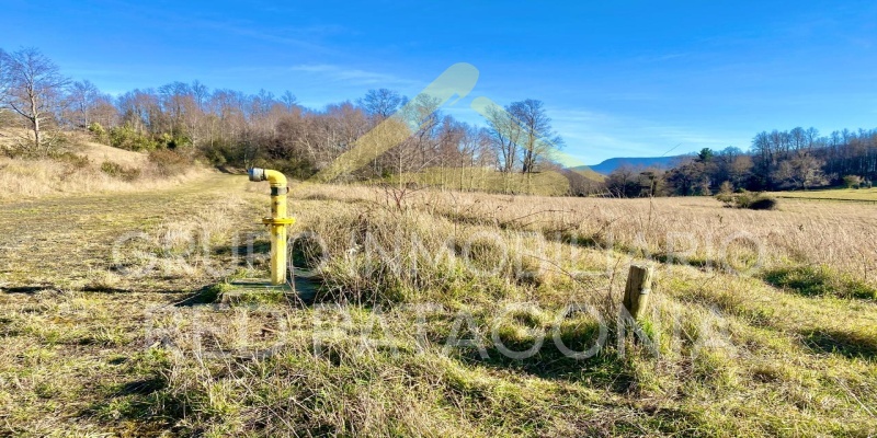 Araucanía, ,Terrenos,Venta,1432