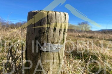 Araucanía, ,Terrenos,Venta,1432