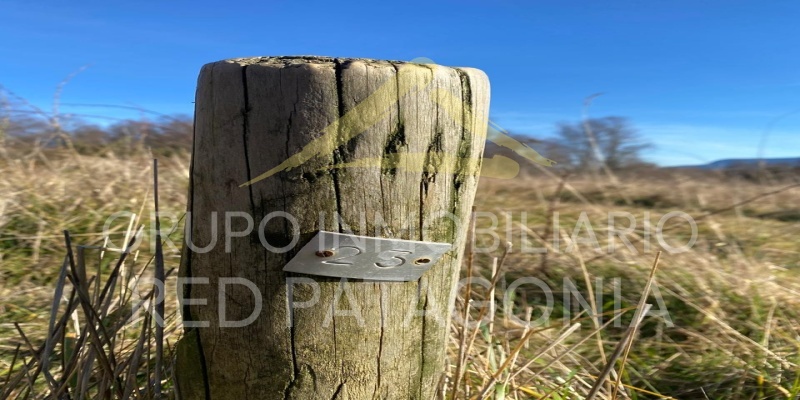 Araucanía, ,Terrenos,Venta,1432