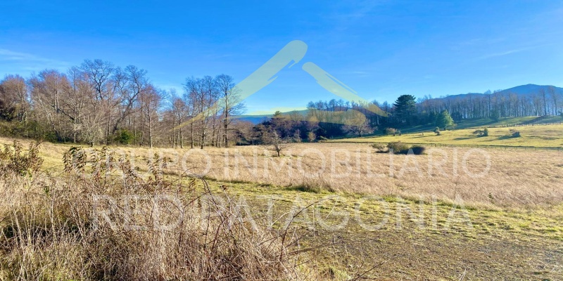 Araucanía, ,Terrenos,Venta,1432