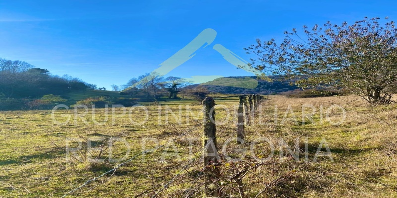 Araucanía, ,Terrenos,Venta,1432