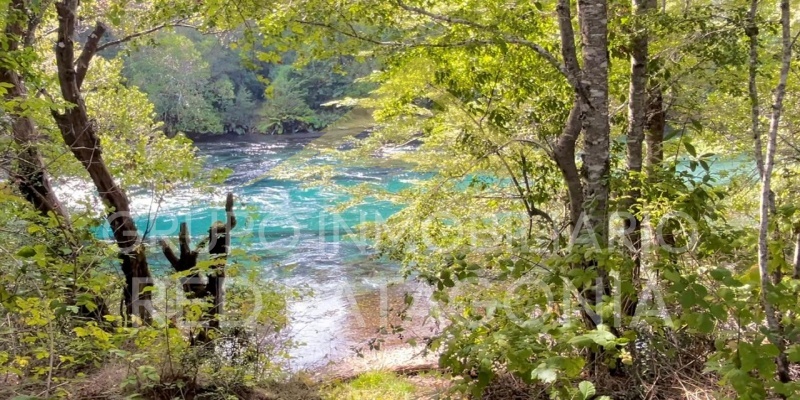 Caburgua, Araucanía, ,Terrenos,Venta,1433